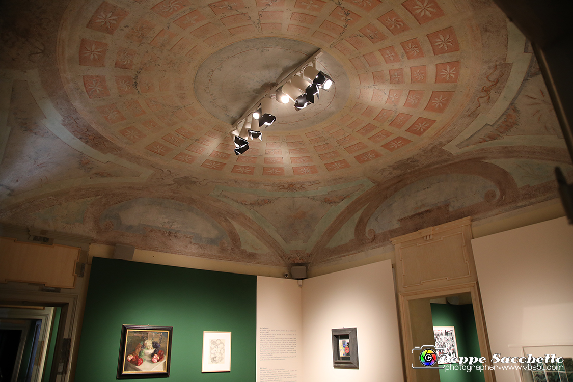 VBS_1326 - Castello di Miradolo - Mostra Oltre il giardino l'Abbecedario di paolo Pejrone.jpg